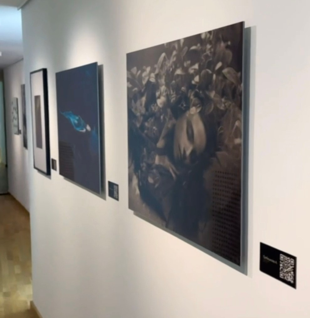 «Параллели времени: От амбротипии к цифровому авангарду».Парк Горького, 12.10 — 3.11.2024. Арт фотограф Алина Гребешкова, Химки, Москва