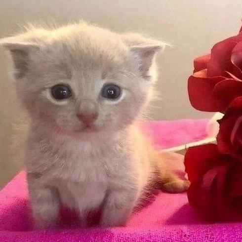 Северный пленер в карельской глуши. Творческий лагерь для взрослых