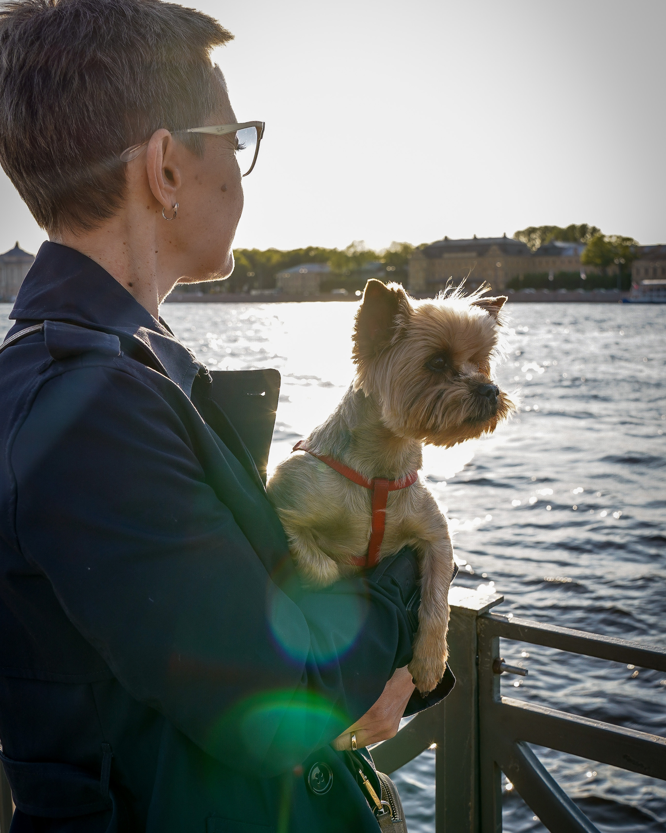 Фотосессия с питомцем