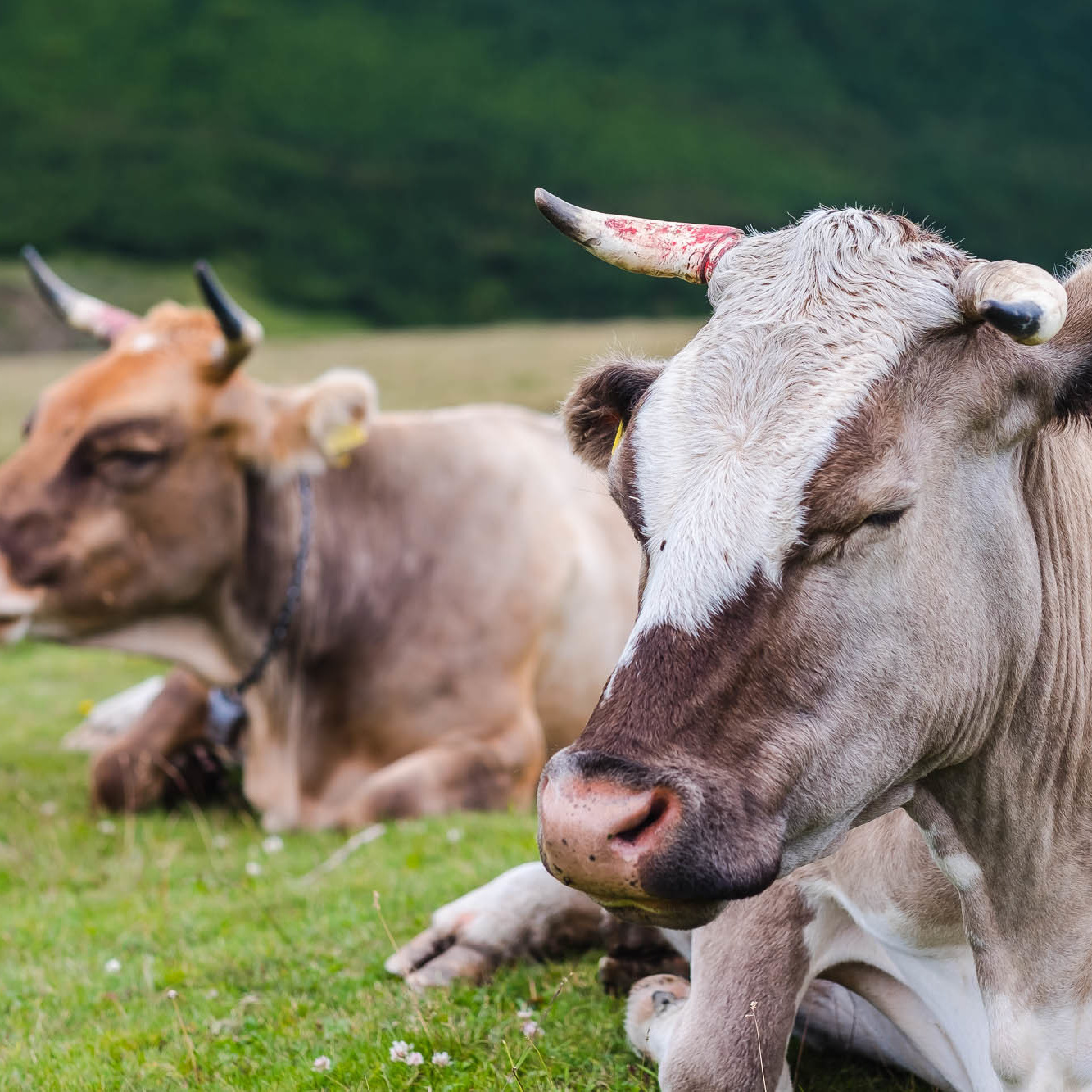 Путешествие в Румынию | Часть 1/4. Фотограф Дмитрий Питерский