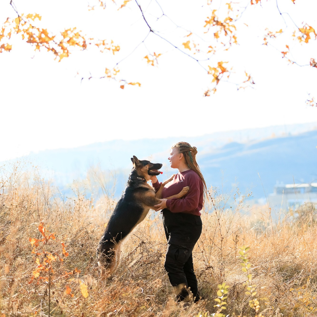 фотограф анималист, Саратов