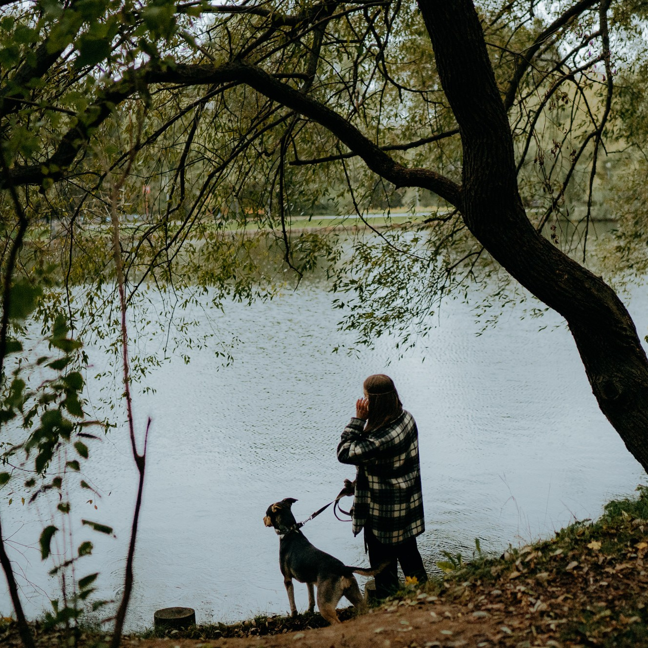 How it works. Photos of you and your pet