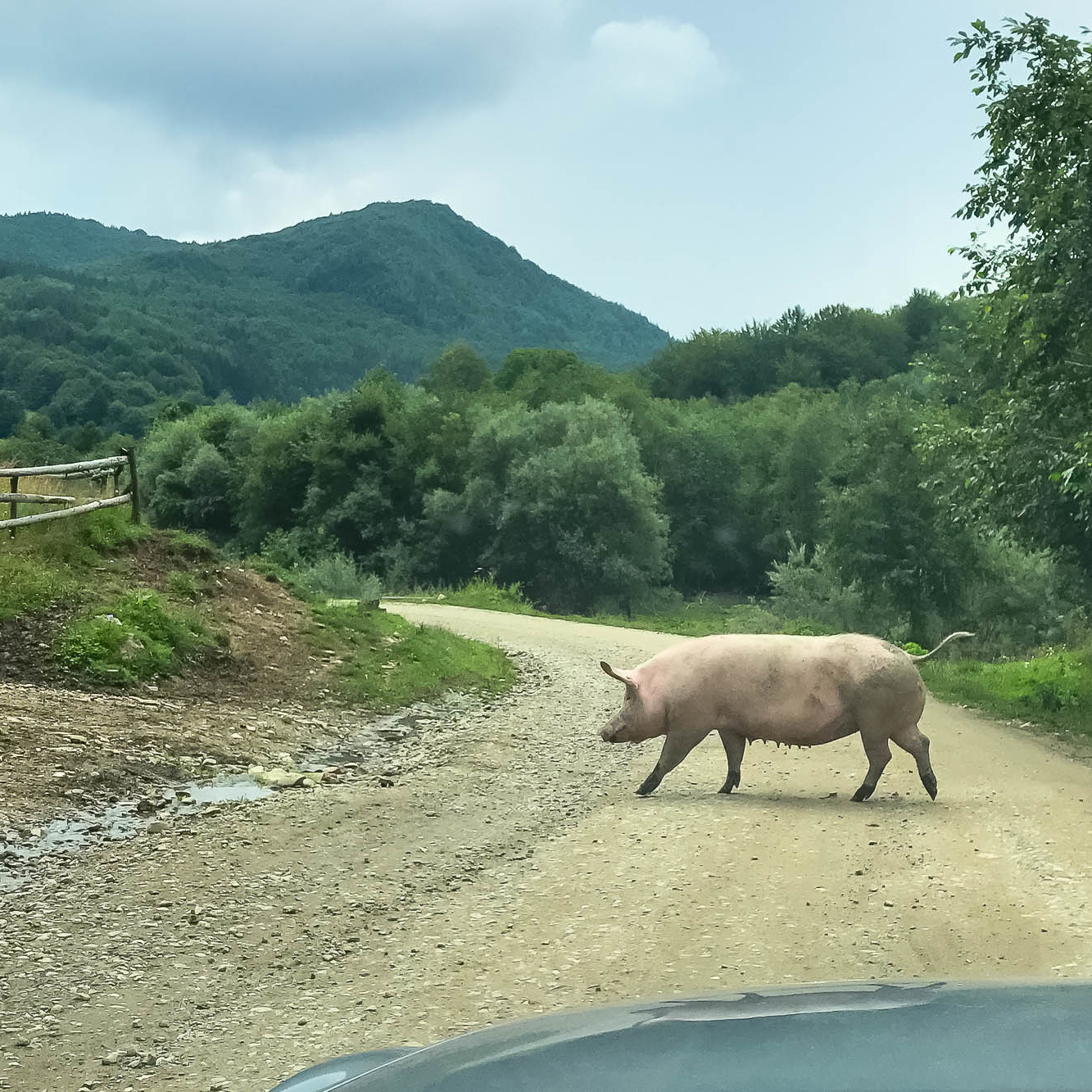 Путешествие в Румынию | Часть 1/4. Фотограф Дмитрий Питерский