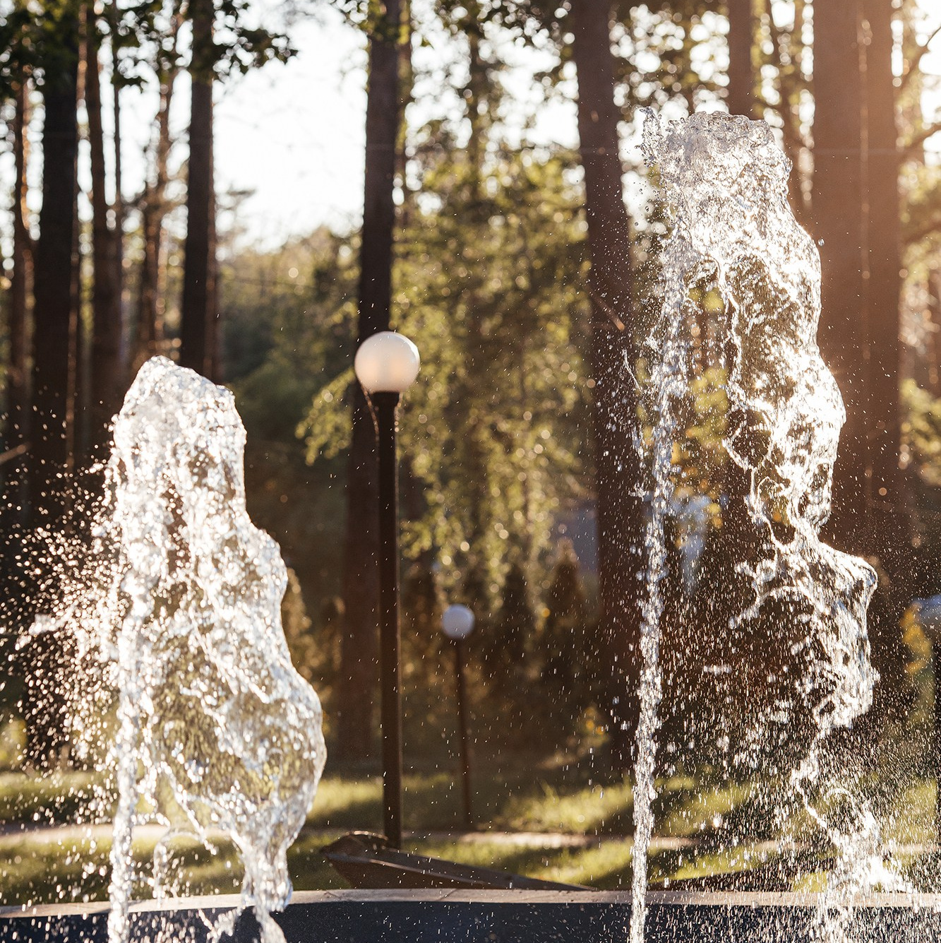 ЛЕСОПАРК | Загородное кафе