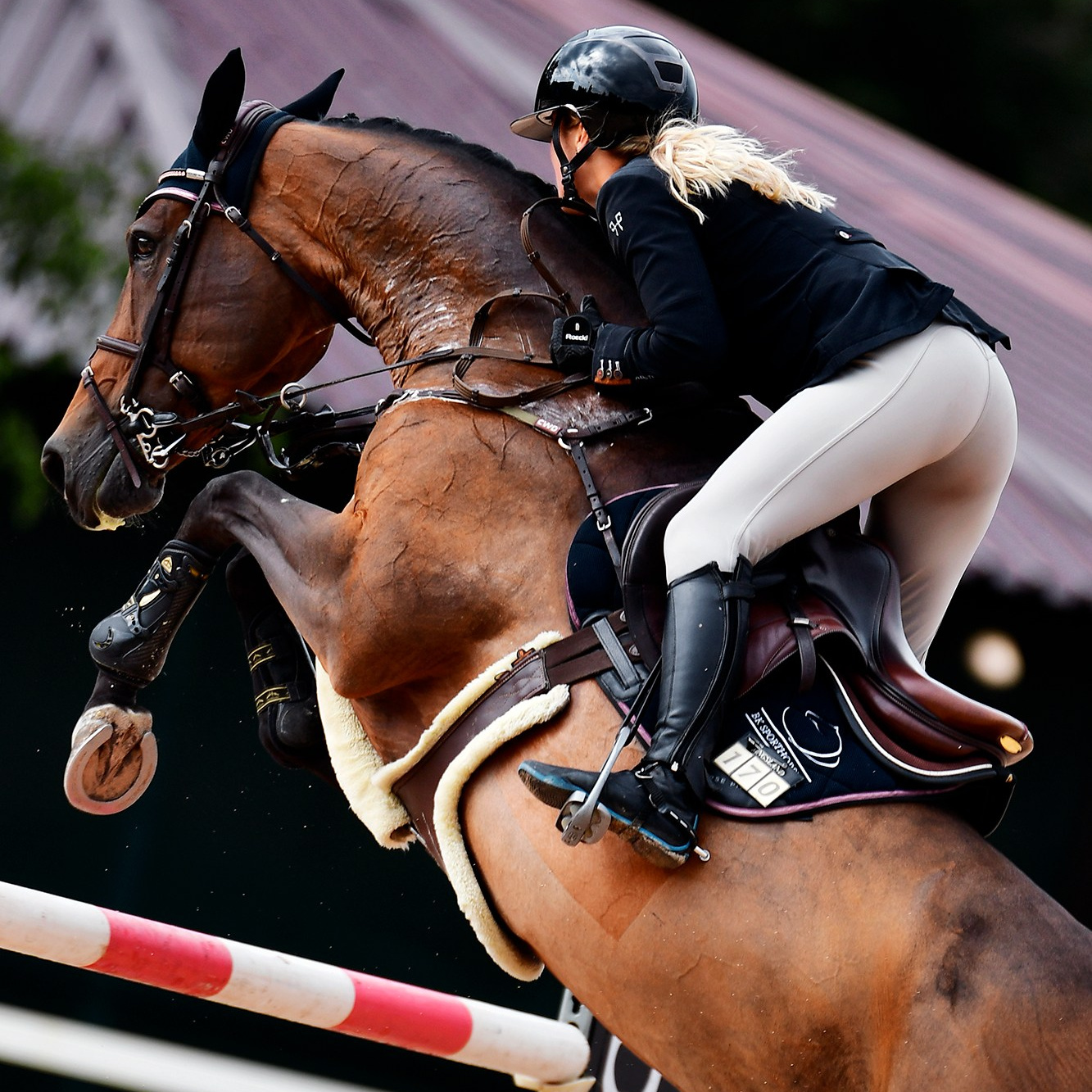 Конкур: кск «Дерби» 13 — 14.09.2025. Конный фотограф Alesya Safe