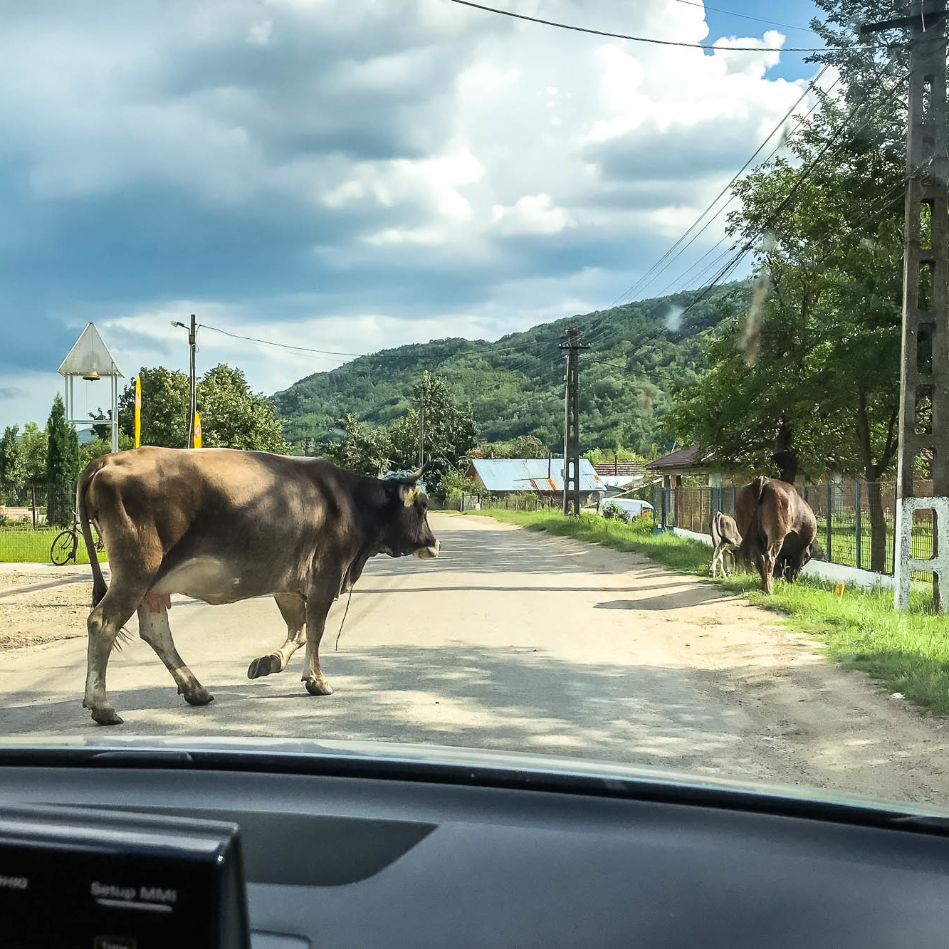 Путешествие в Румынию | Часть 1/4. Фотограф Дмитрий Питерский