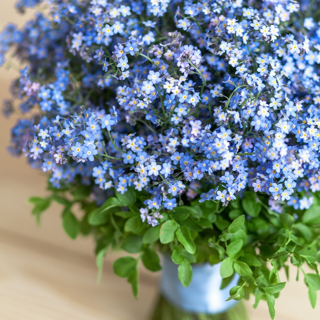 Букет из незабудок. Флорист Маргарита Гладкова