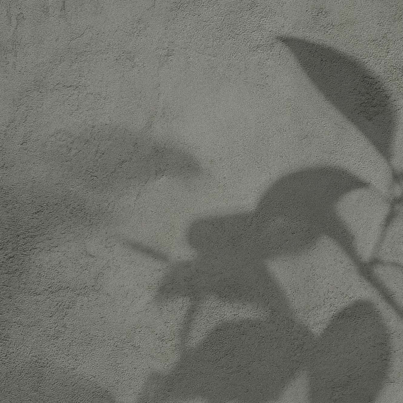 Программы и курсы. Психолог Наталья Брют