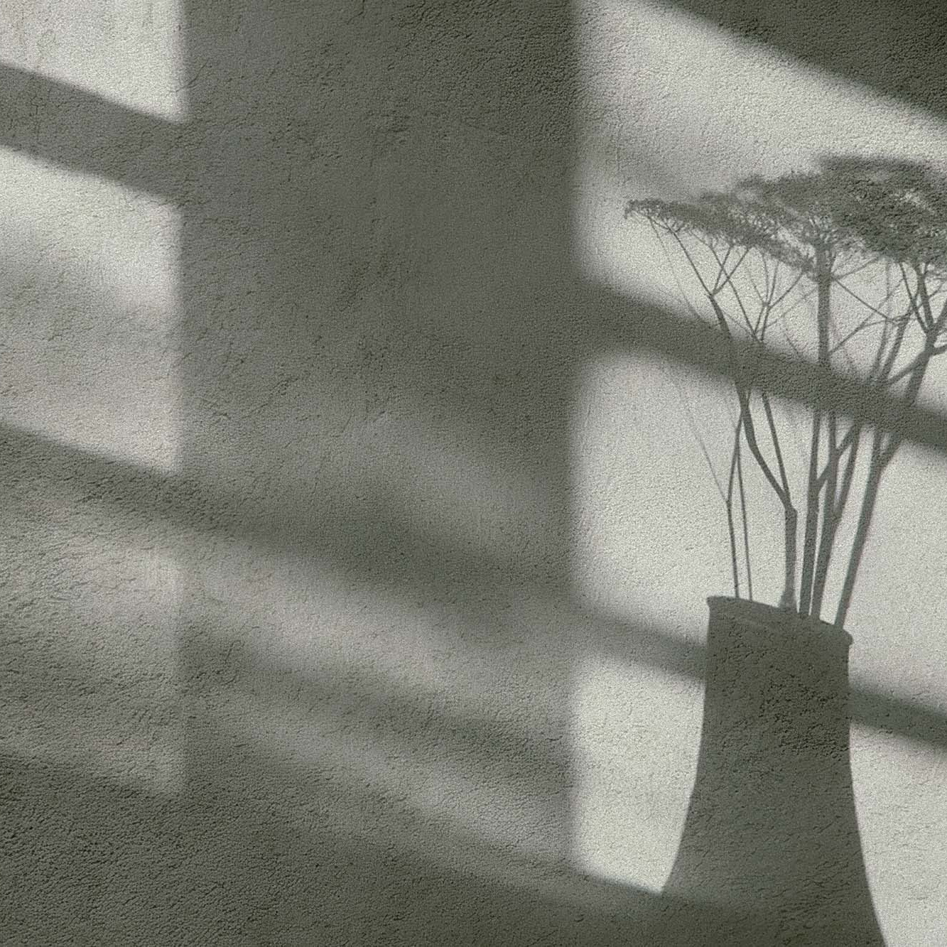 Программы и курсы. Психолог Наталья Брют