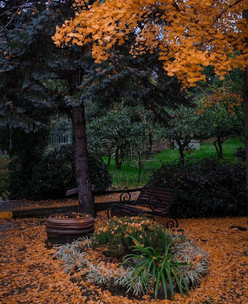 Топ 5 небанальных локаций для фотосессий в Сочи. Фотограф Сочи Кисматова Анастасия