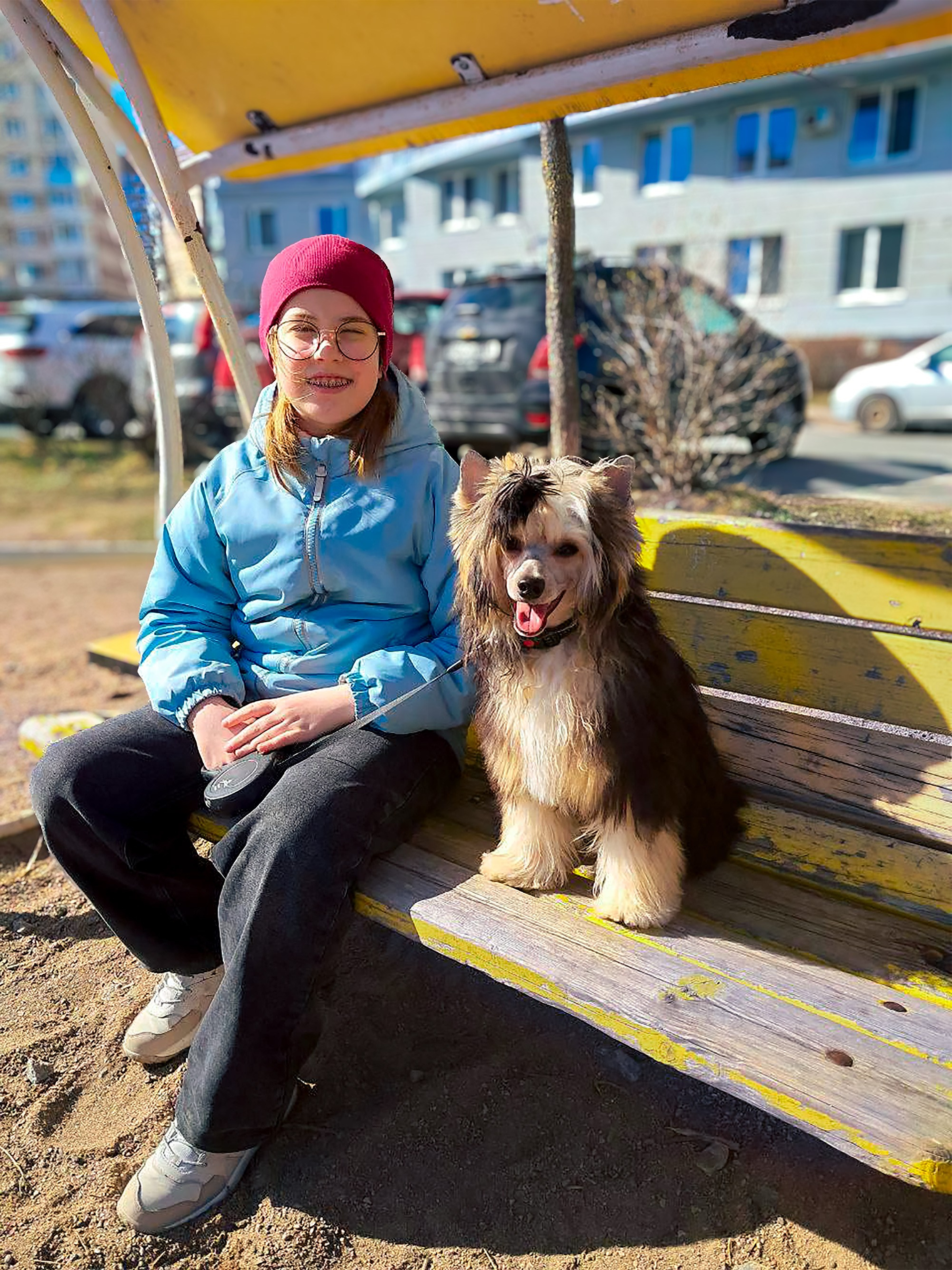 Феликс — лучший щенок выставки! Наши поздравления. Питомник китайских хохлатых собак Poale Ell: купить щенка в питомнике