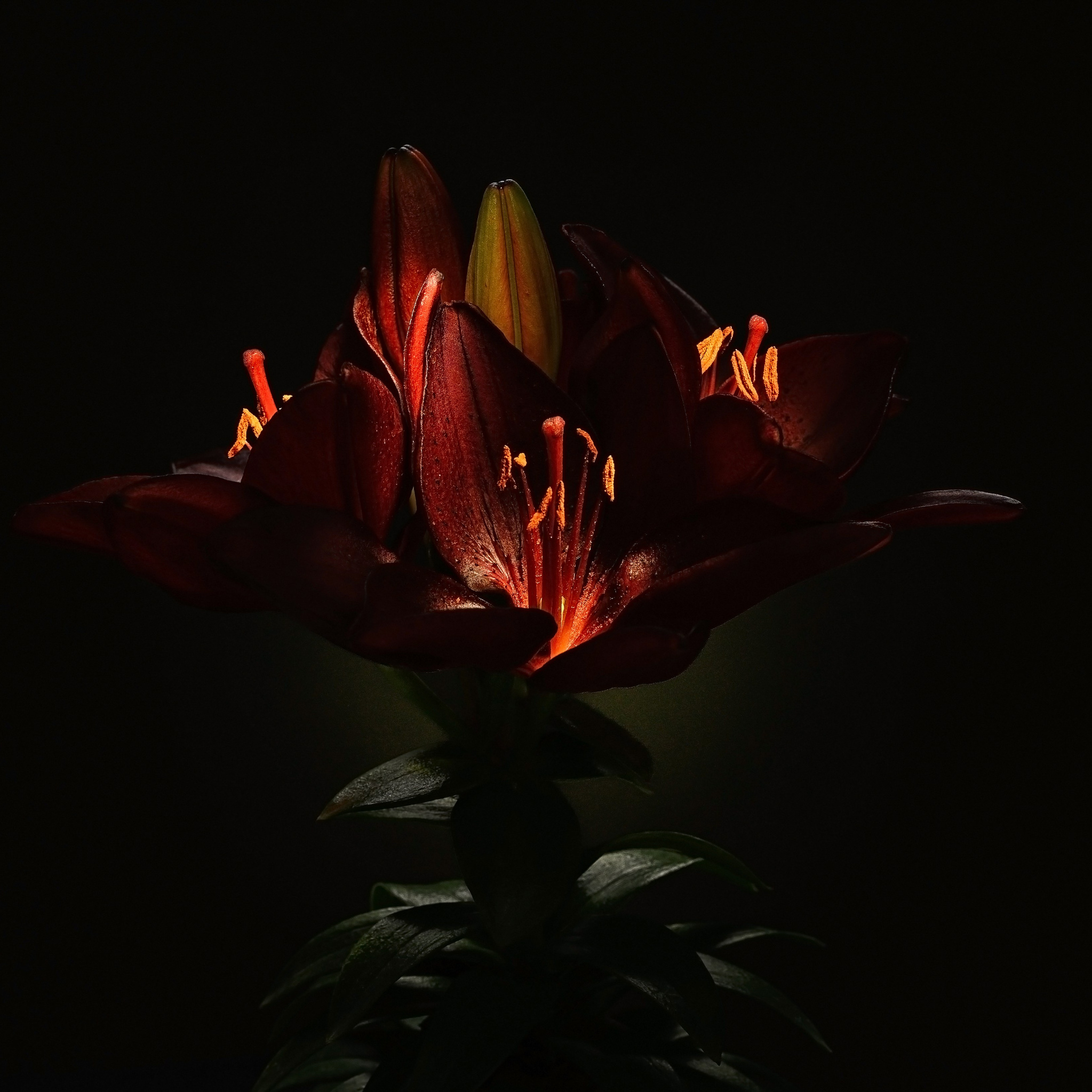 Фотопроект «Primavera». Портретный фотограф в Челябинске Катерина Руди