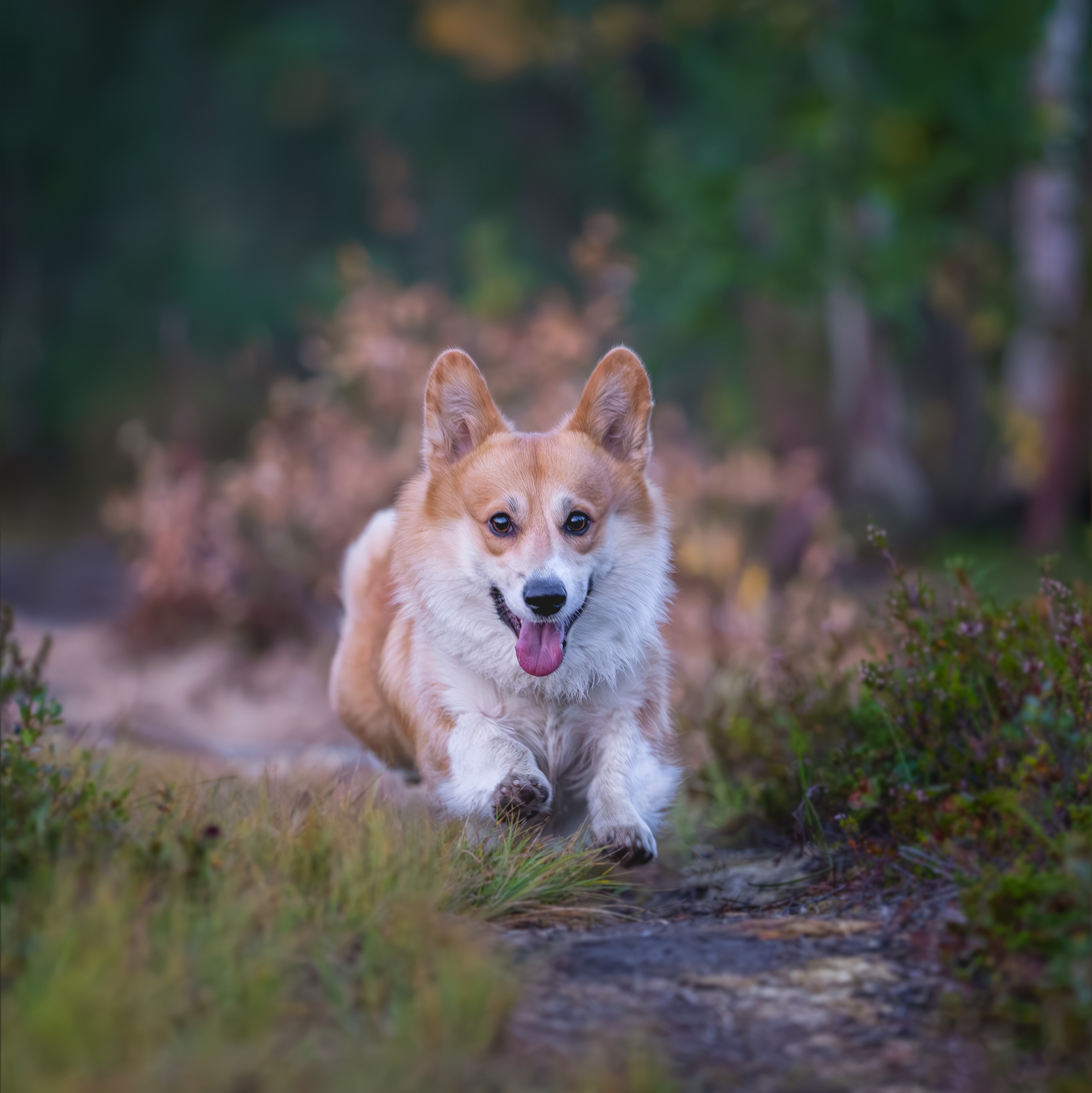 Услуги. Главная