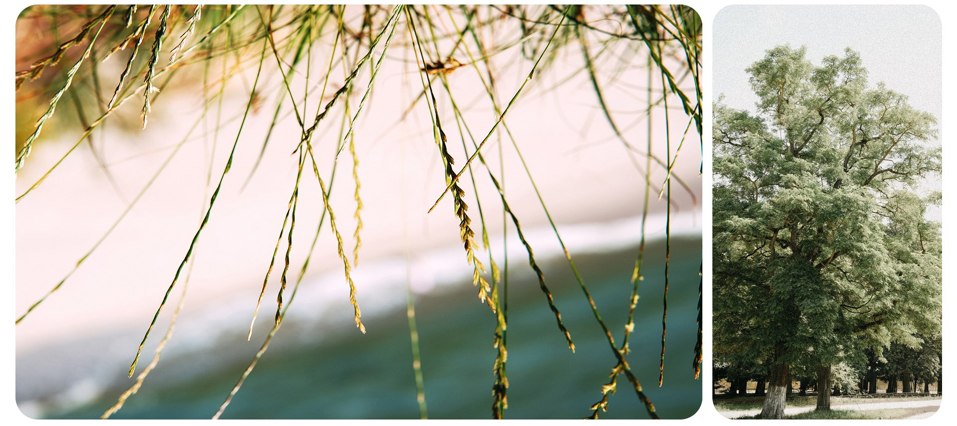 Калининград 1. Фотограф из Москвы — DASHA NOVA | Авторская фотография в разных жанрах