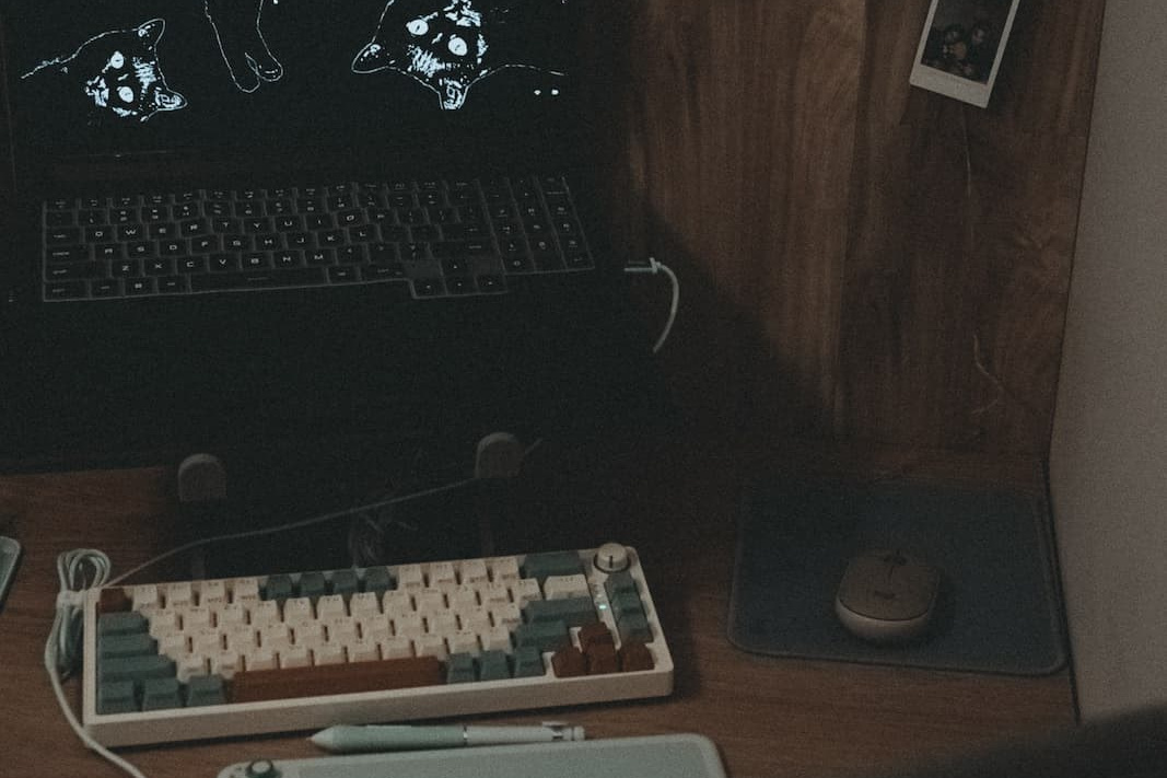 Как происходит отбор фото после фотосесии и сроки готовности. Портретный фотограф Тюмень Дарья Мустафина