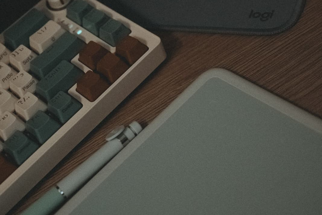 Как происходит отбор фото после фотосесии и сроки готовности. Портретный фотограф Тюмень Дарья Мустафина