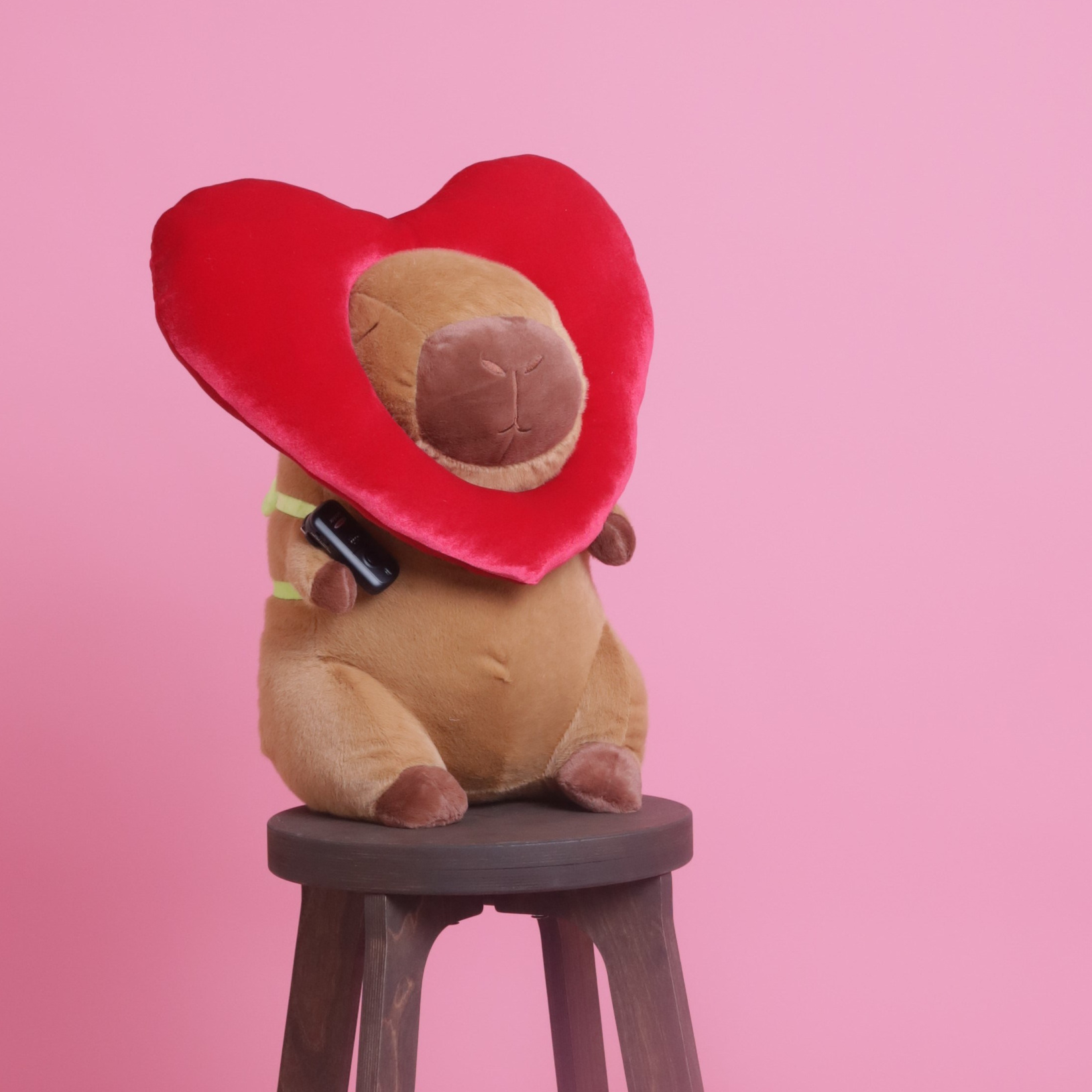 КАКИЕ ЕСТЬ ФОНЫ. Автопортретная Фокус