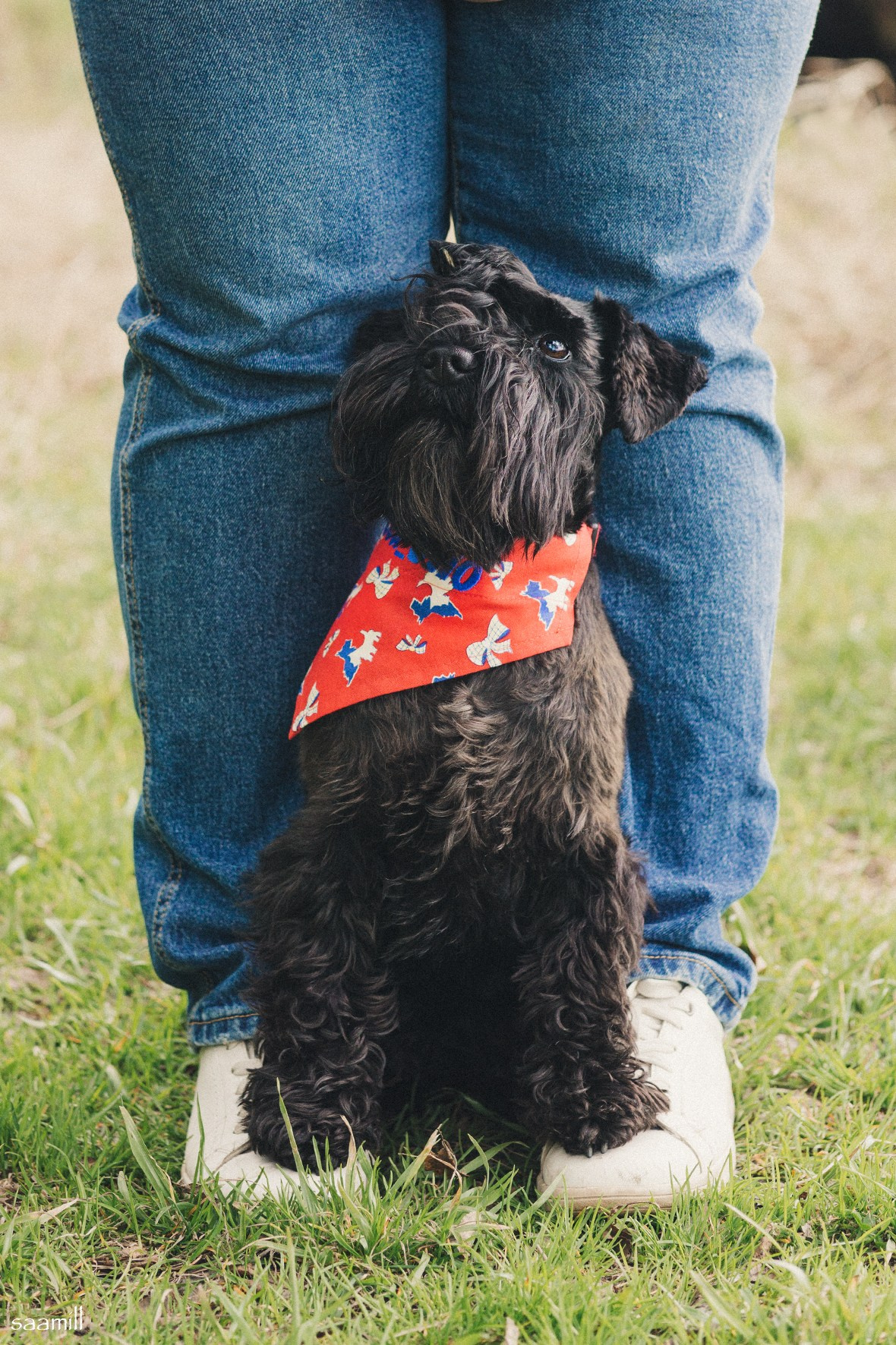 История наших встреч — 1 часть. Saamill