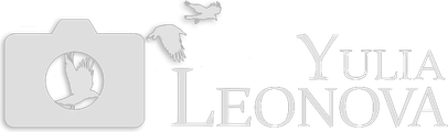 yulialeonova.art