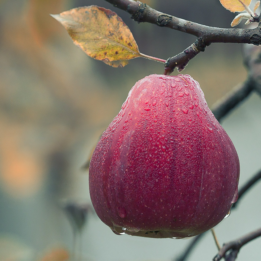 Ретушь и редактирование фотографий Мария Гор