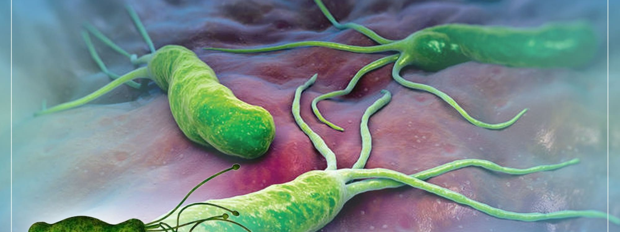 Как принимать комплексные пищевые добавки компании Сово-Сова?. «Сово-Сова» продукция для омоложения, здоровья и долголетия