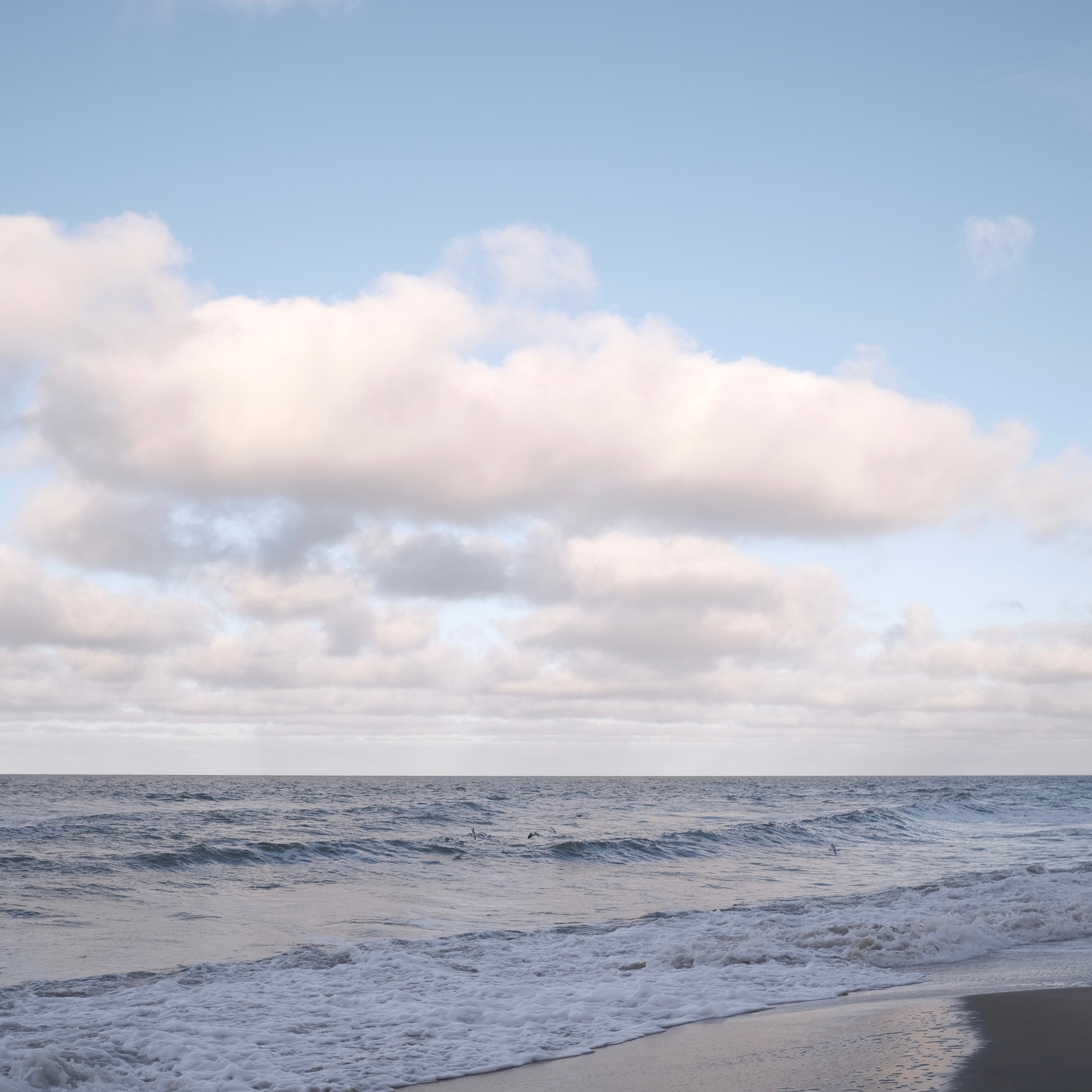 Калининград. LIYALEE PHOTO