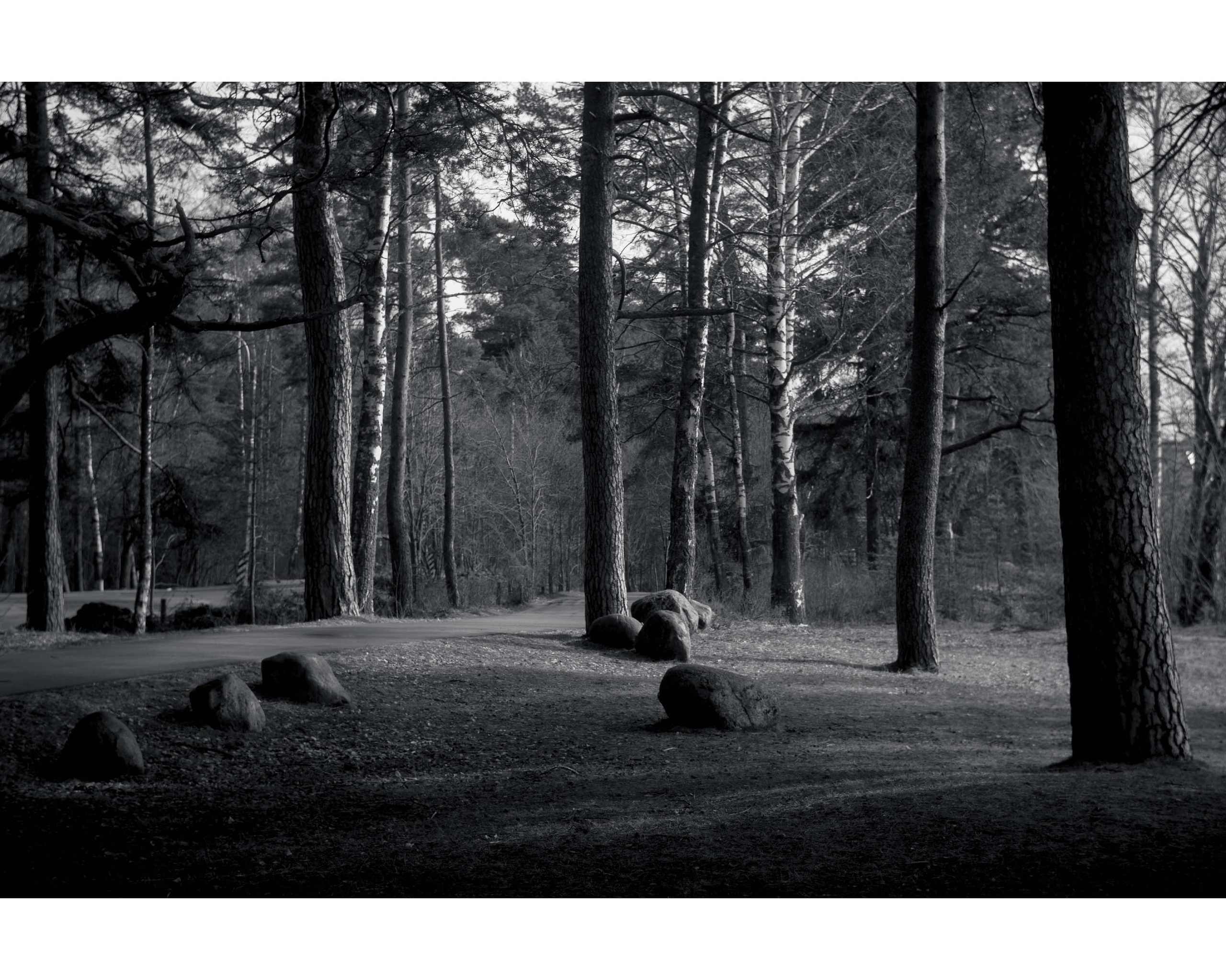 Вадим Чецкий|Портретный фотограф