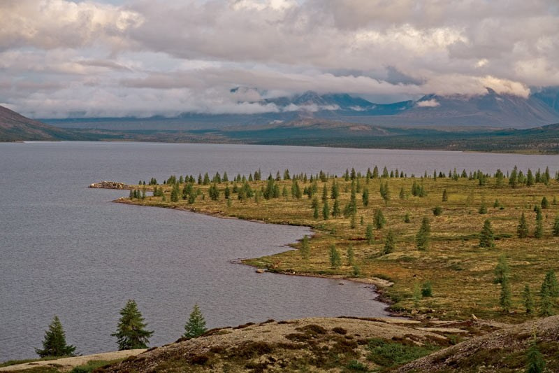 Там, где отражается небо