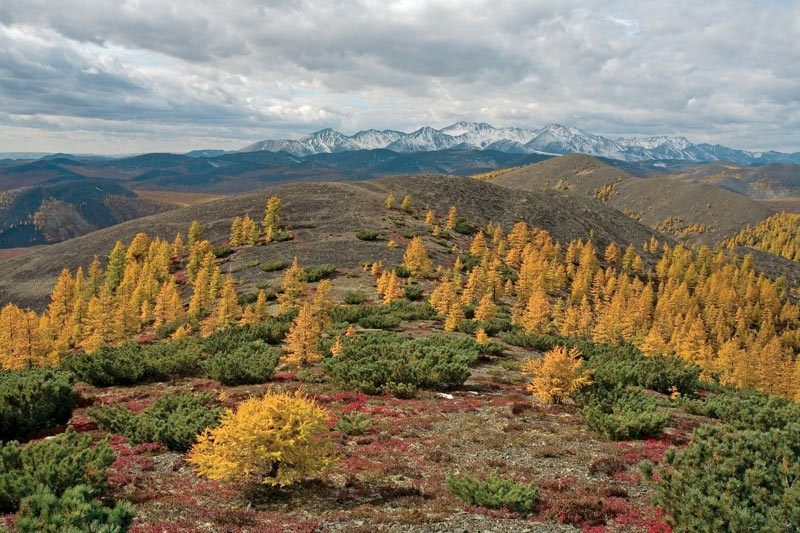 Там, где отражается небо