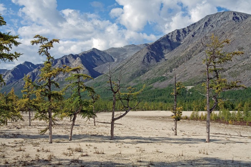 Там, где отражается небо