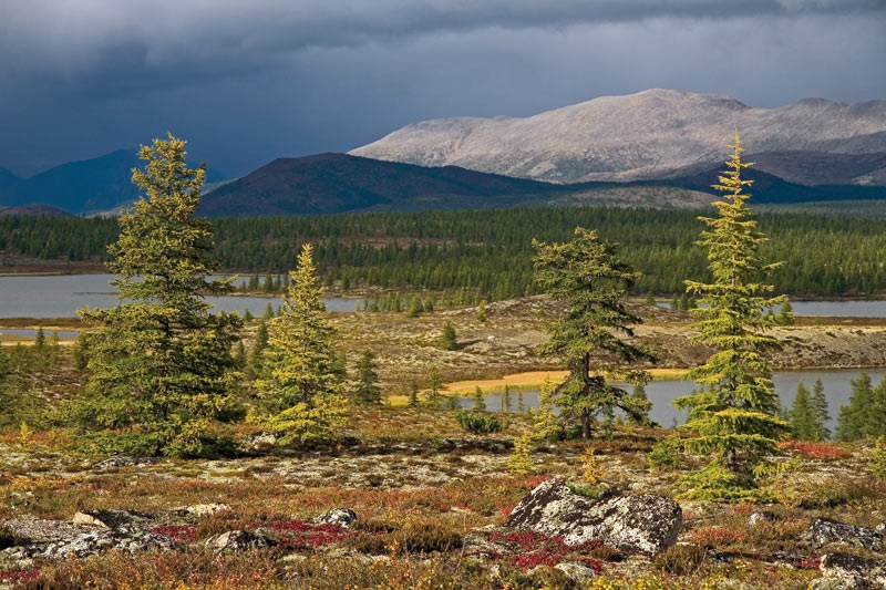 Там, где отражается небо