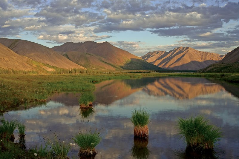 Там, где отражается небо