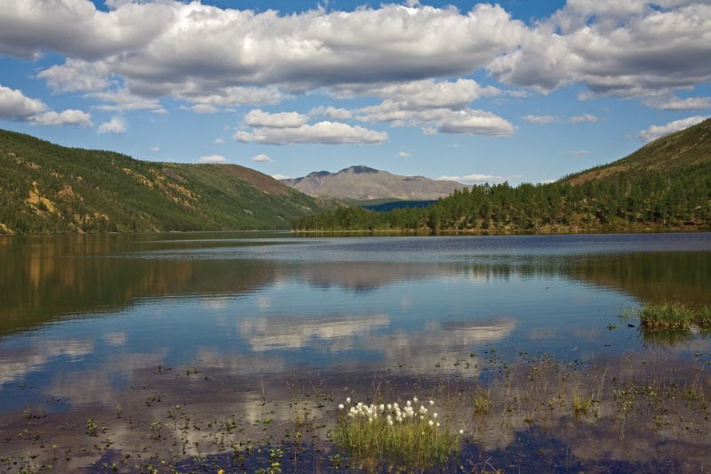 Там, где отражается небо