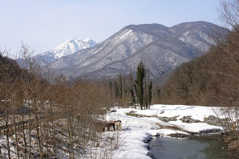 Старая Альпика Сервис