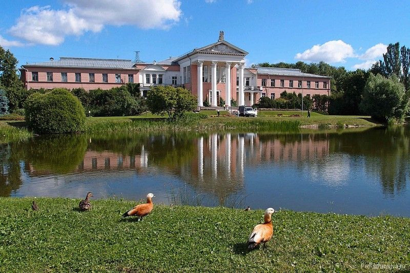 Красивые места для фотосессии. Фото Радости. Свадебный и семейный фотограф в Москве Юлия Самойлова