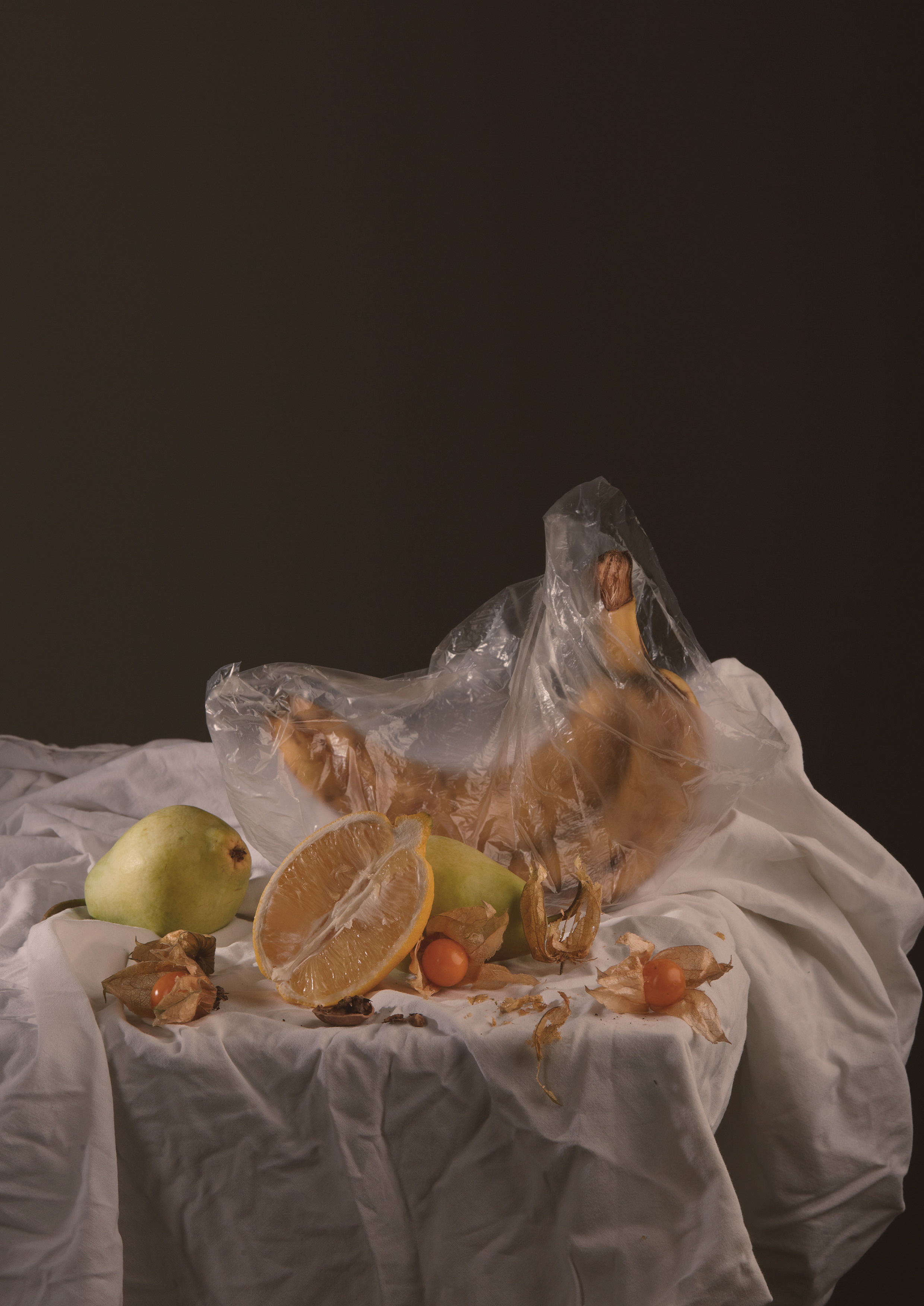 Пакет/pakket (2020). Фотограф Полина Треногина