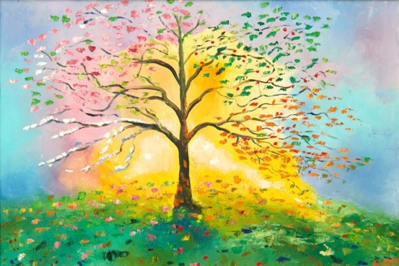 GALLERY. OLGA HAN GALLERY