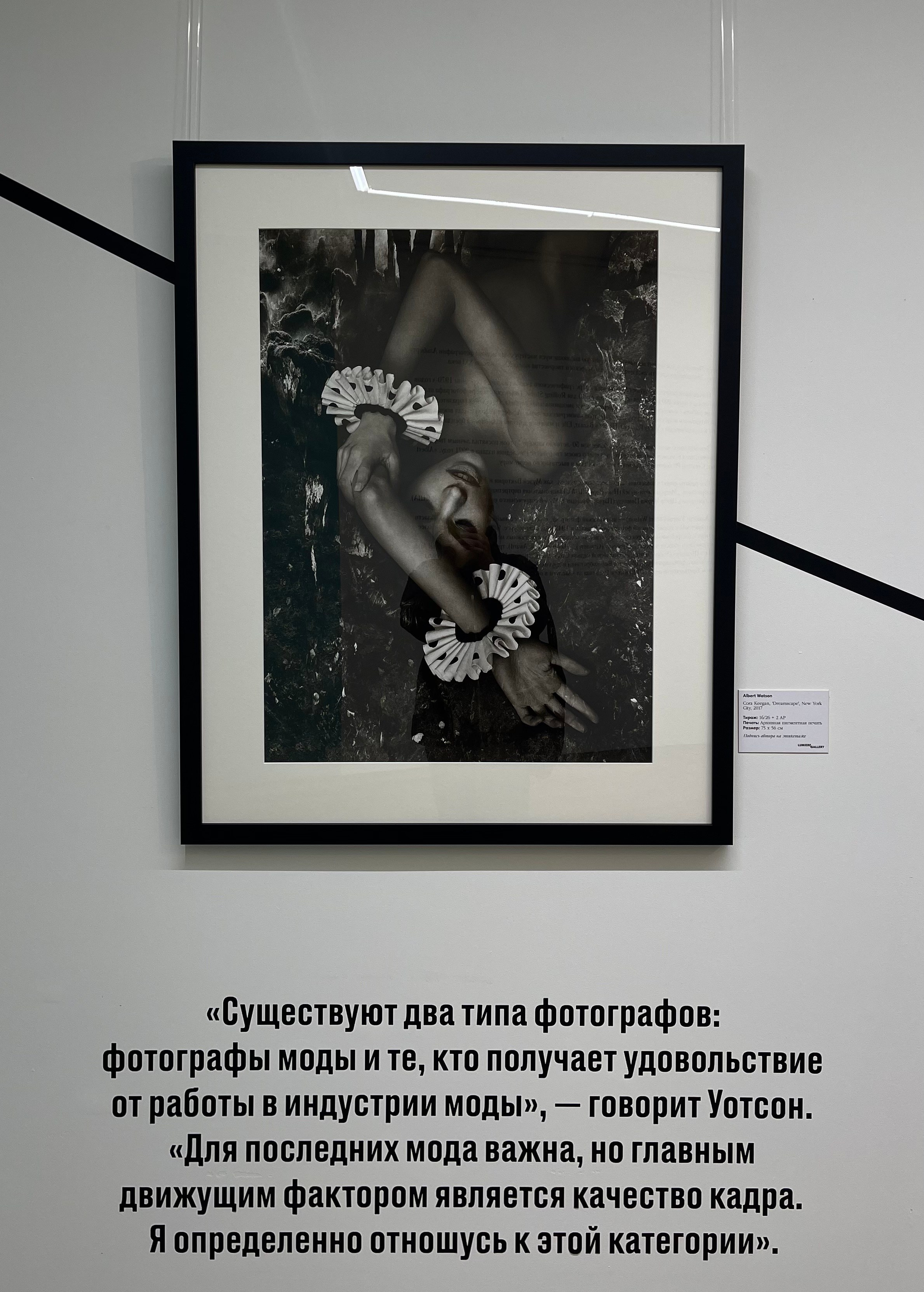 Выставки. Экскурсовод по Москве Беляева Валентина