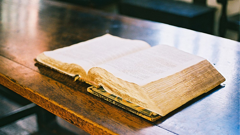 Услуги. The Andris