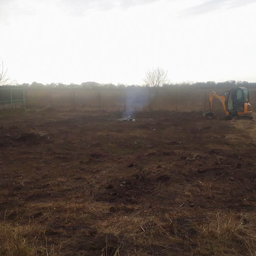 Расчистка Калининград