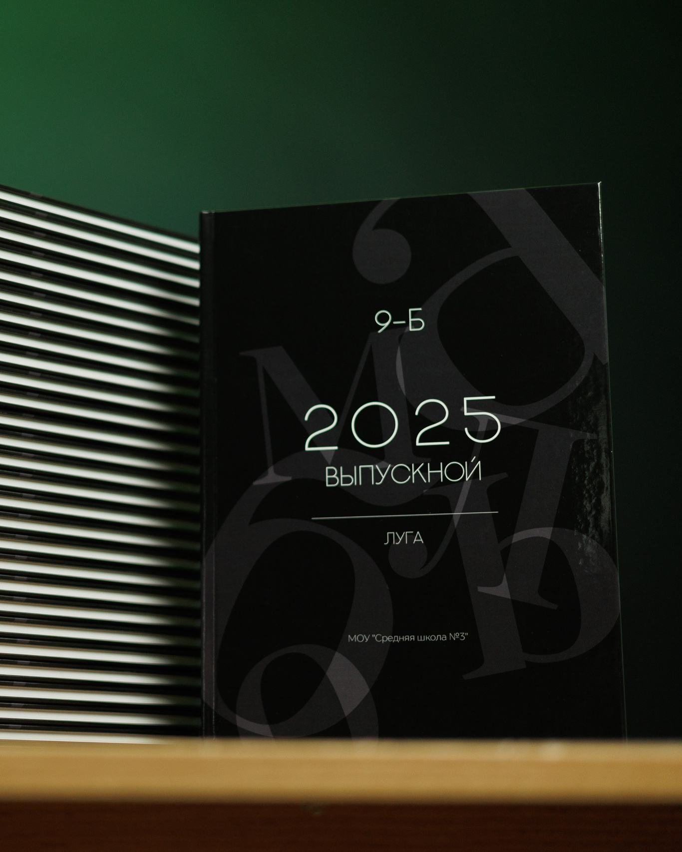 Наши работы. Выпускные альбомы в Луге/Школьные съёмки