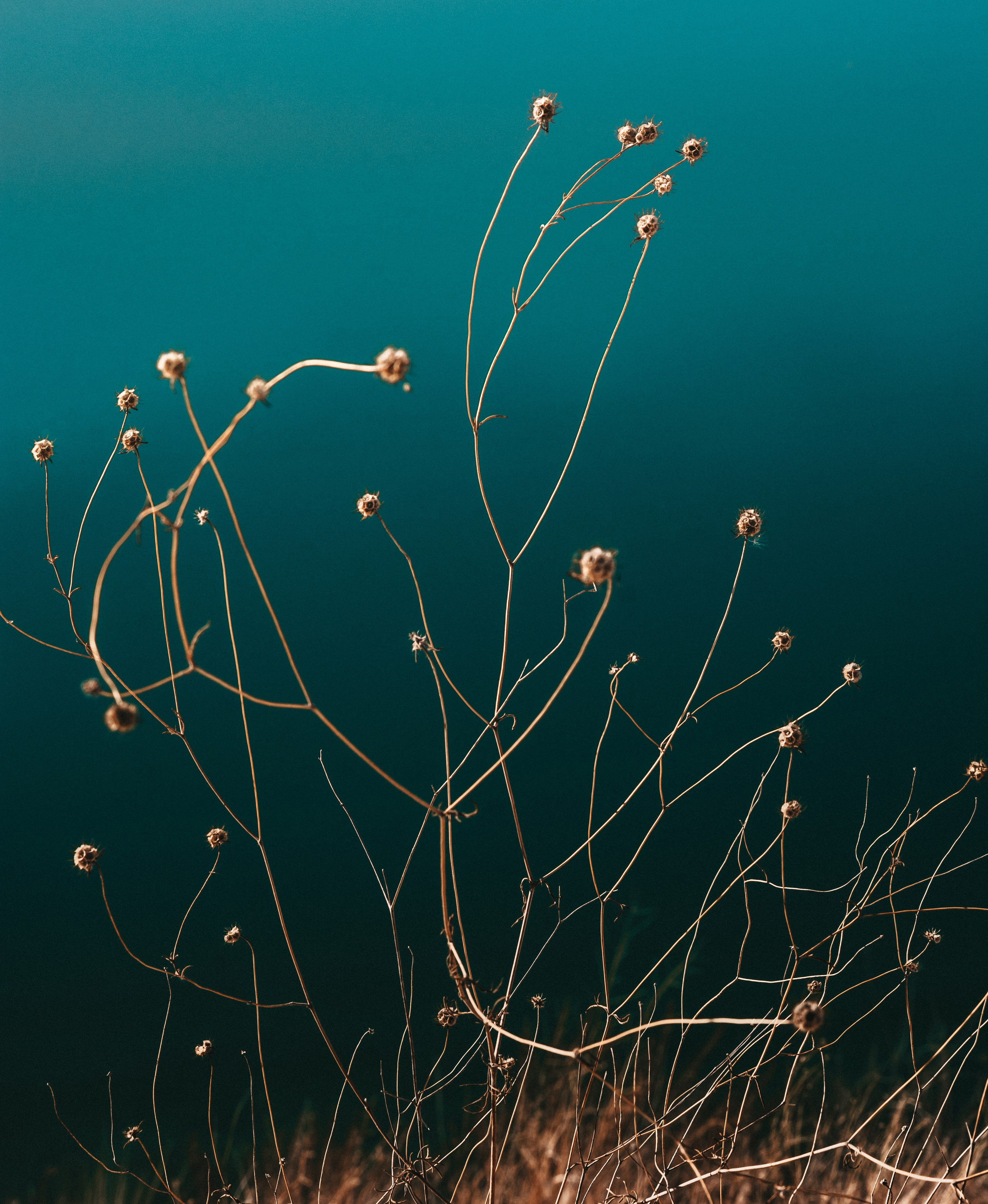 TRAVEL. EVGENYA PERESADOVA