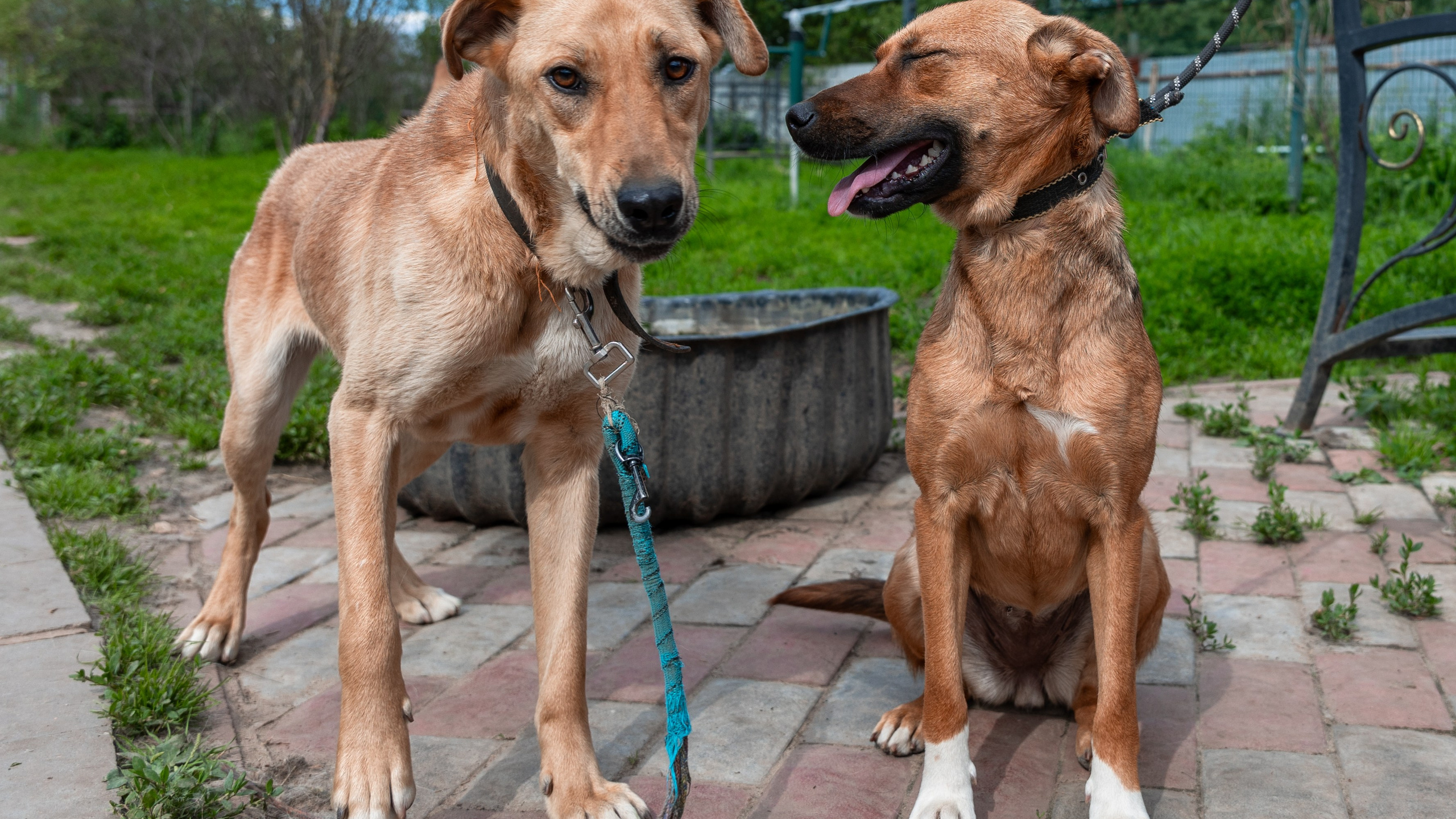 Priyut-gostinica. Professional photographer Alexey Nikitin in Moscow