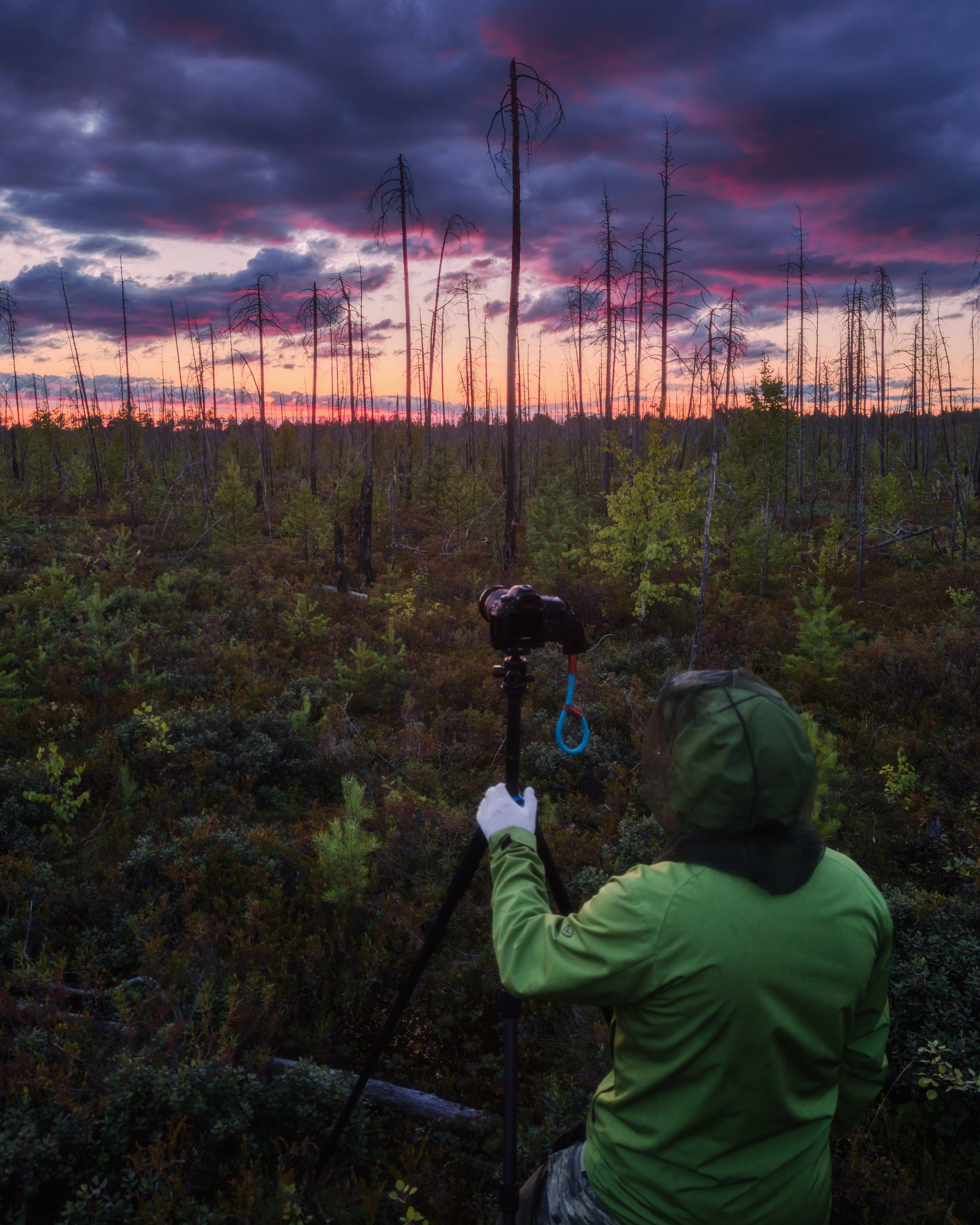 Контакты. Профессиональный пейзажный и рекламный фотограф Чаланов Иван