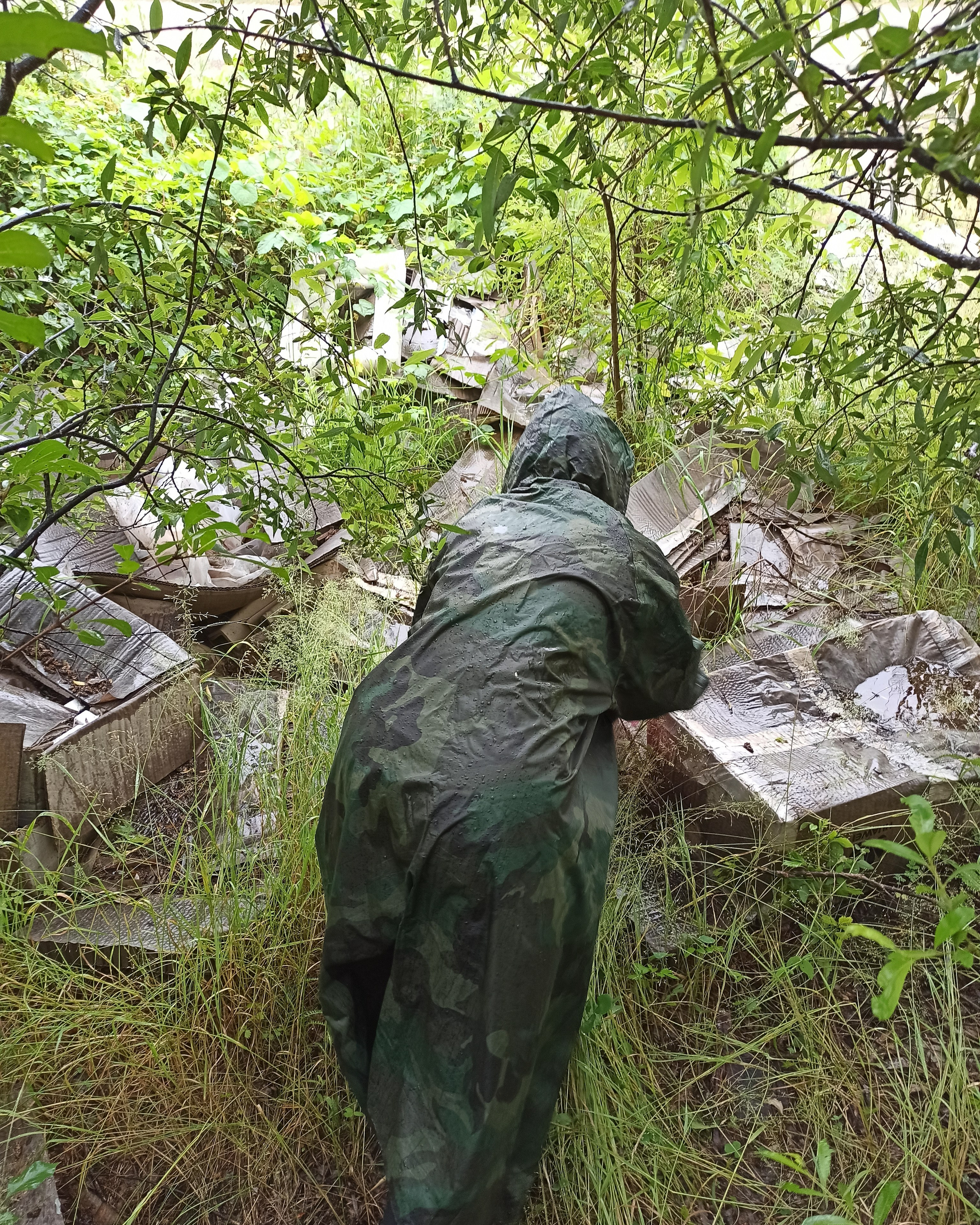 Осознанный землянин. Художник Рыбак Николай