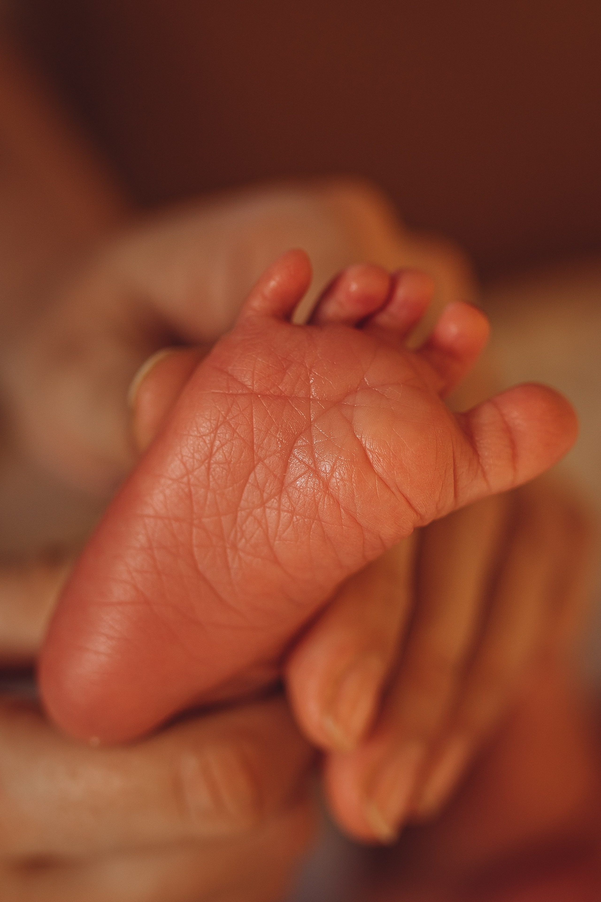 Крохотная ножка новорожденного в руке мамы, первая в жизни фотосессия для малыша. Фотосессии для новорожденных в Санкт-Петербурге, фотограф Маруся Самылкина.