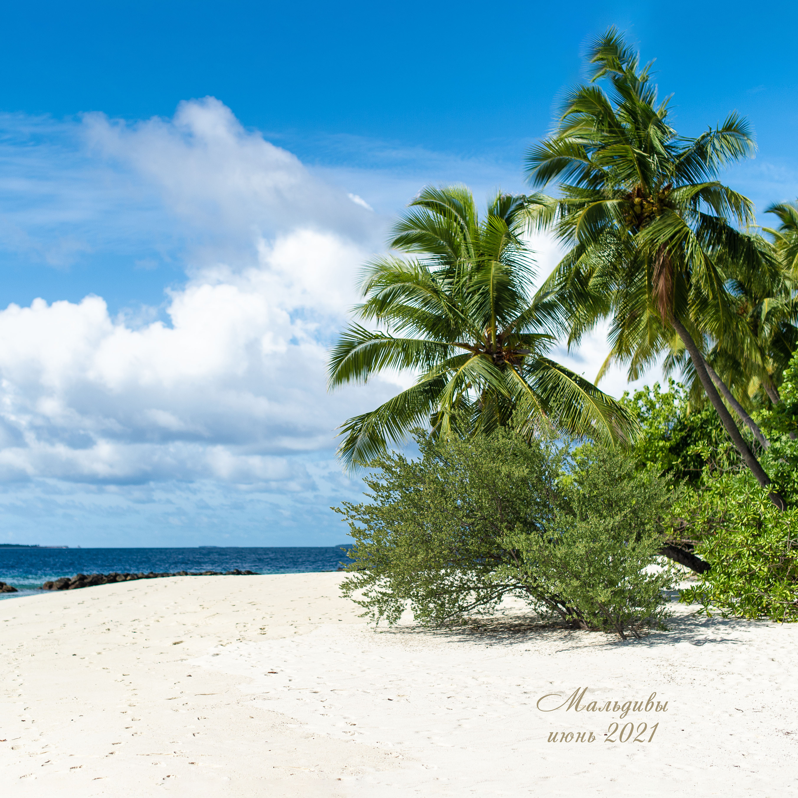фотограф в путешествие