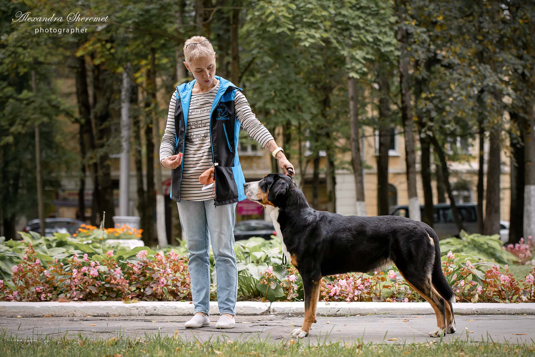 Санбёдс Аннабель Бон Ами