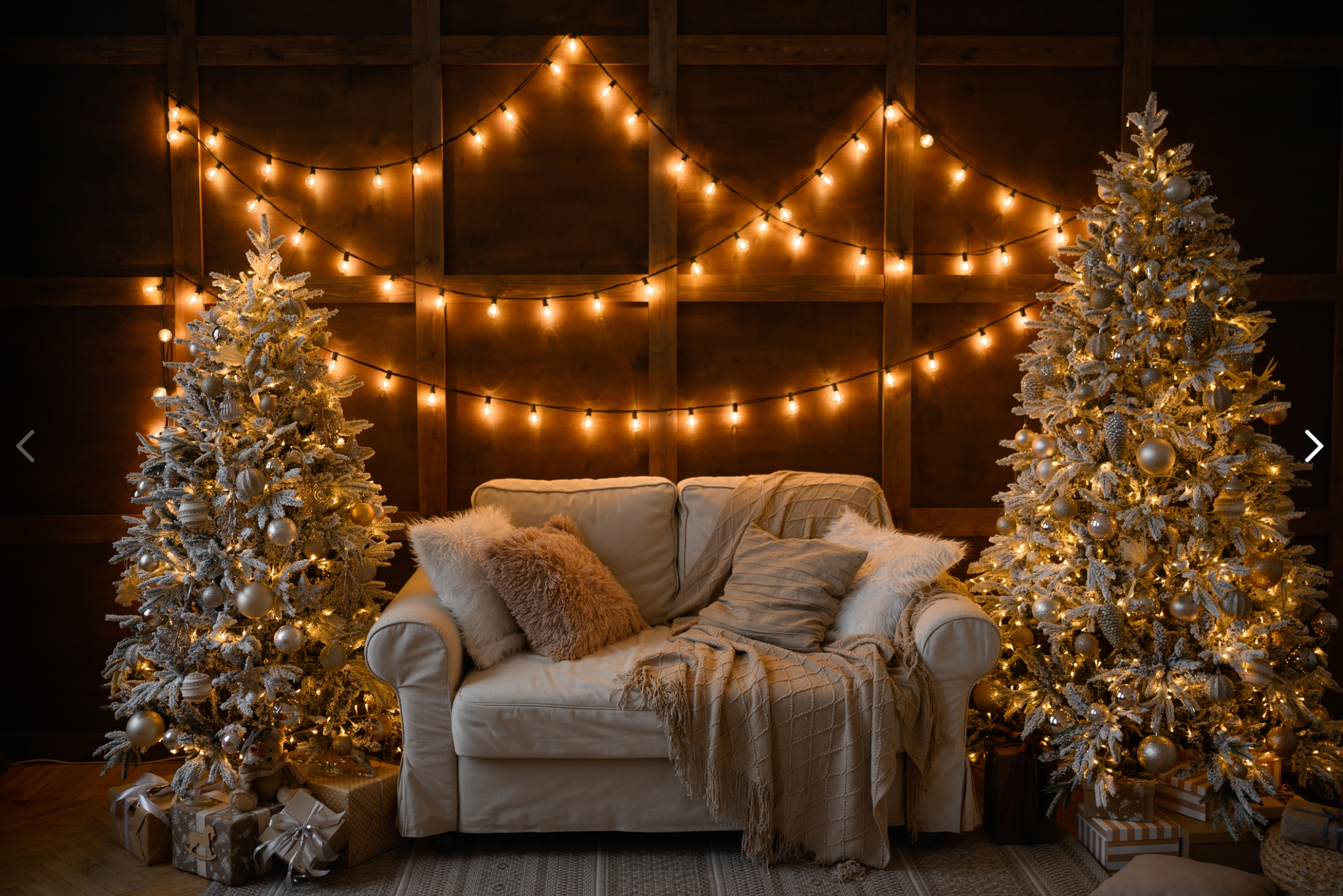 Новый год 2025-26. Семейный и свадебный фотограф и видеограф в Туле и Москве