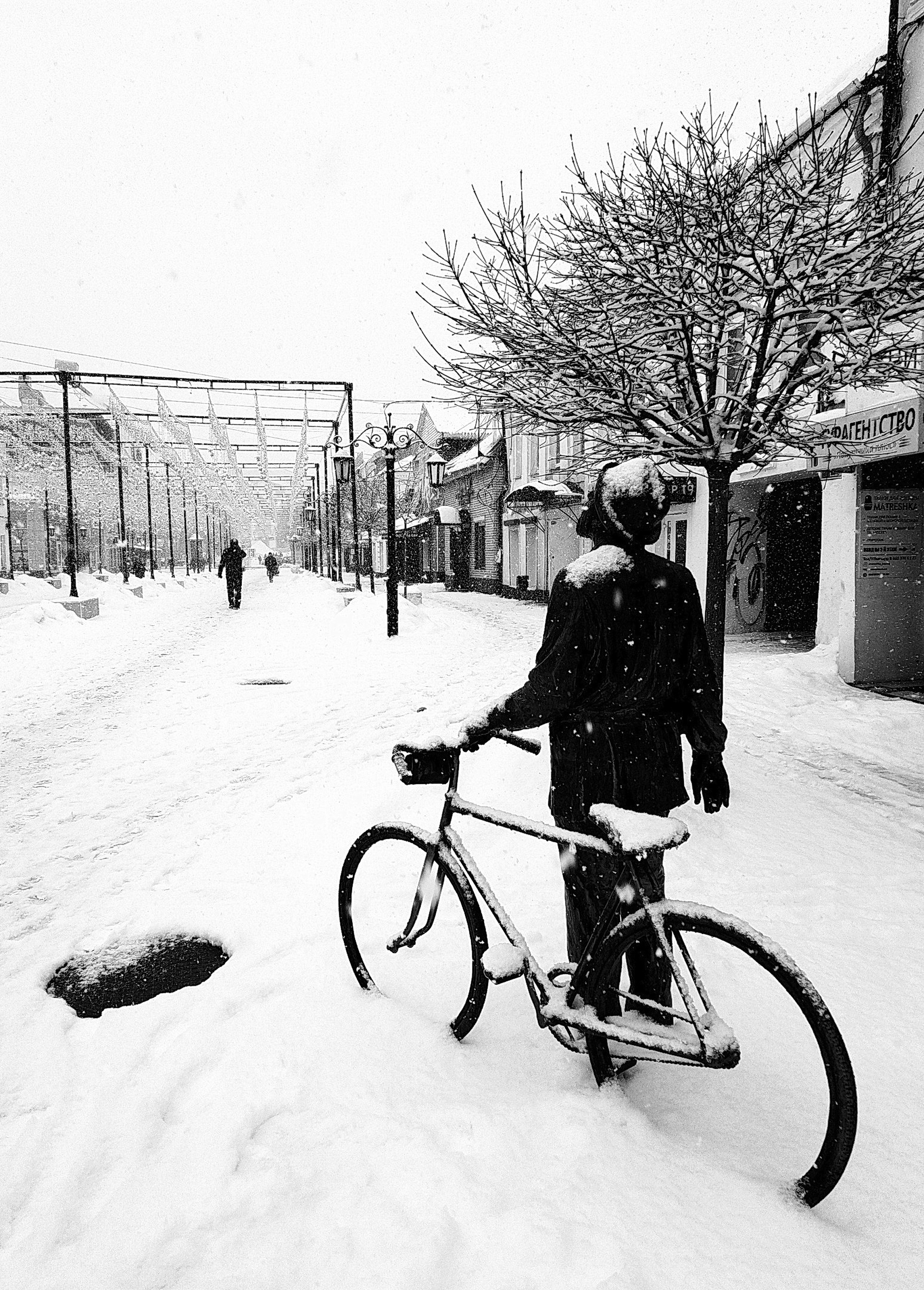 Голосование. Калужский городской фотоконкурс